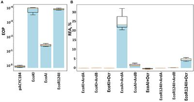 Broadness and specificity: ArdB, ArdA, and Ocr against various restriction-modification systems